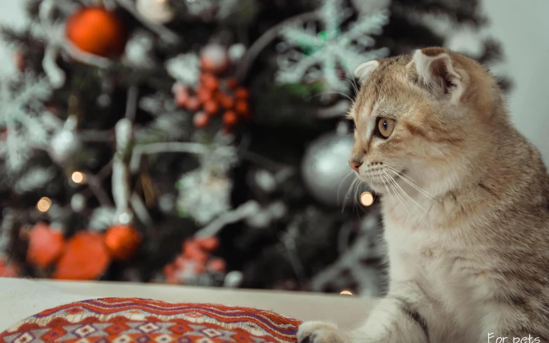 Gốc đánh giá truyện chữ Cộng ngươi tình yêu cuồng nhiệt  Novel Online