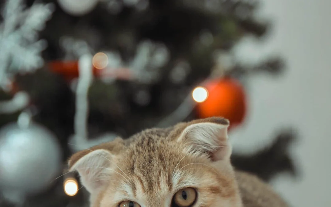 Thảo Luận truyện tranh Nhân Trùng Đại Chiến Online