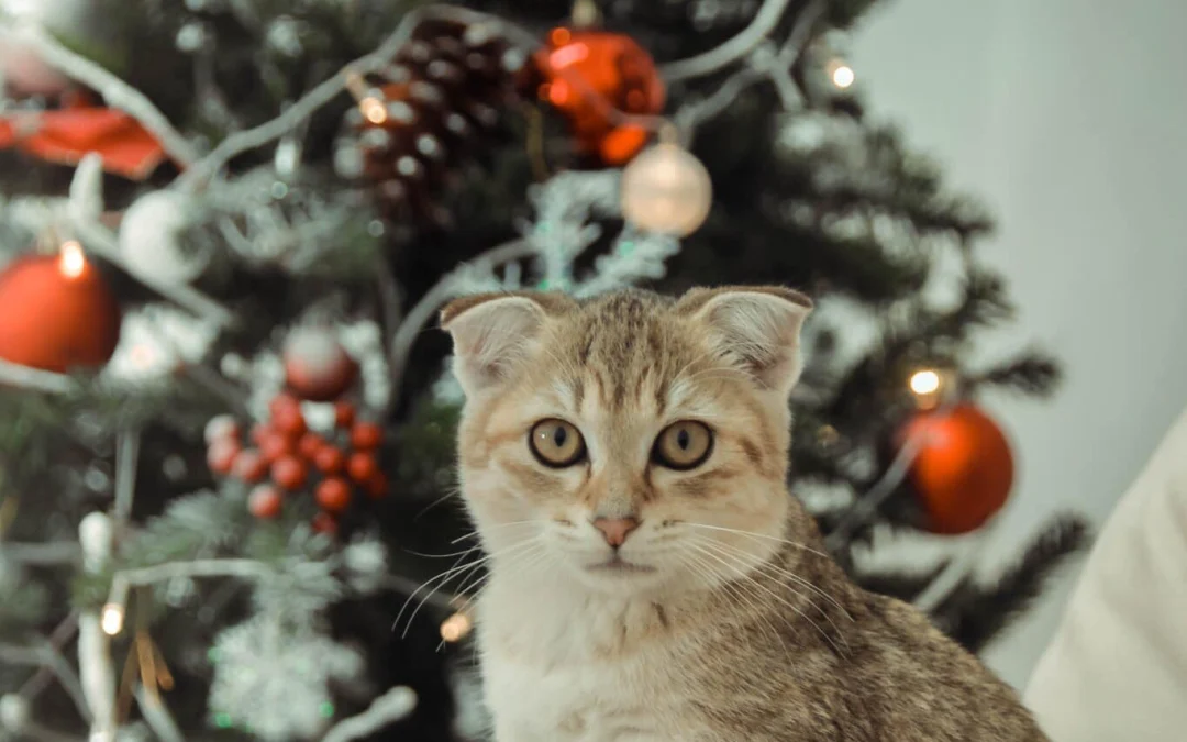 Ai Tóm tắt giúp truyện chữ Mang theo trò chơi xuyên tinh tế  Novel Online