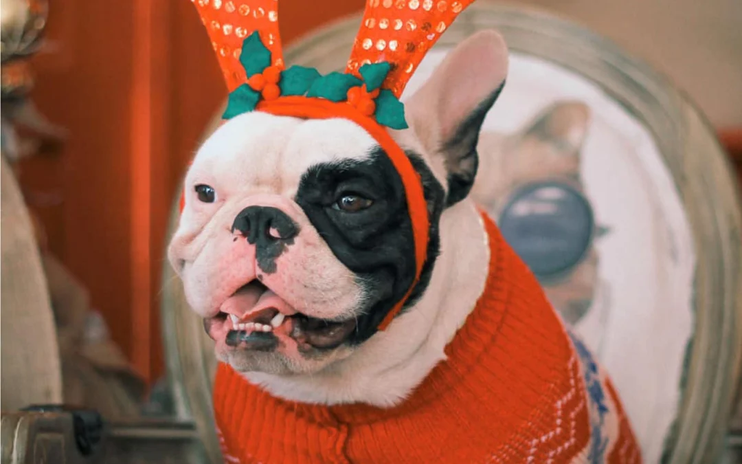 Review về  truyện chữ Ai nói ngươi là tiểu đáng thương ( xuyên nhanh )   Novel Online