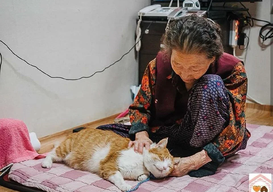 Tóm tắt truyện chữ Băng điểm sôi trào  Novel Online