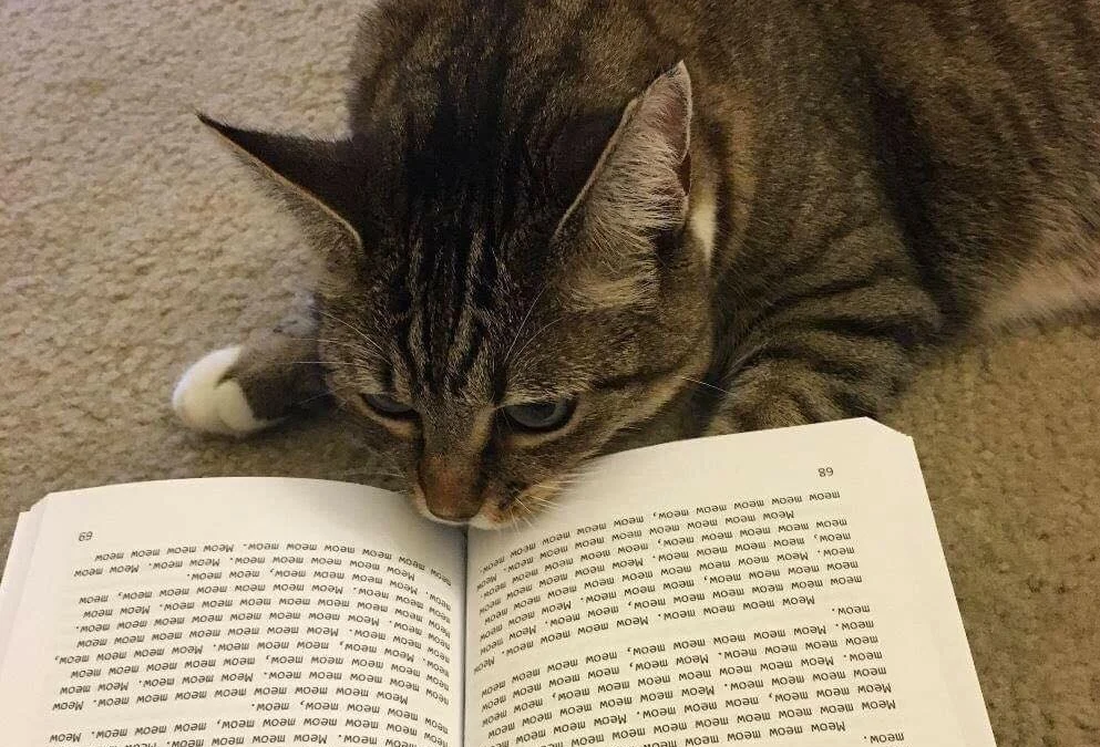 Tóm tắt truyện chữ Trọng sinh chi trên đường băng vinh quang  Novel Online