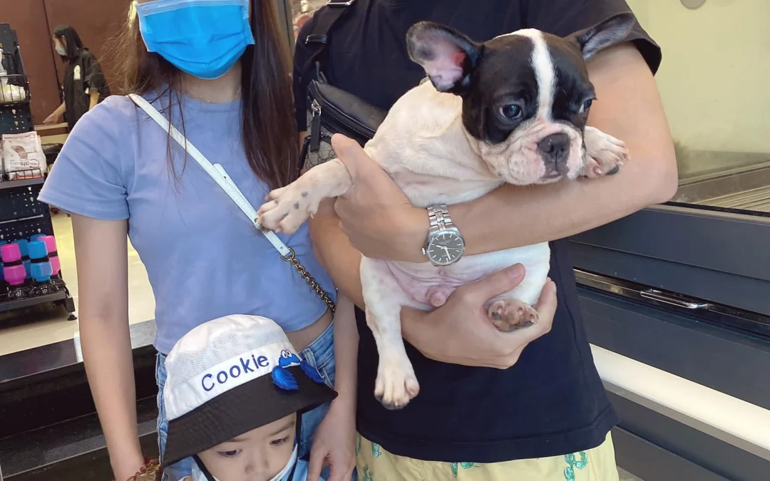 Thảo Luận truyện tranh Phương Pháp Làm Chồng Hướng Về Phía Em Online