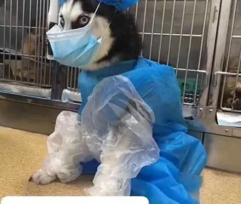 Tóm tắt truyện chữ Mỗ mỹ mạn khắc tinh người  Novel Online