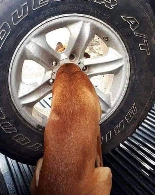 Thảo Luận truyện chữ Ta ở võ hiệp trong trò chơi tu tiên  Novel Online