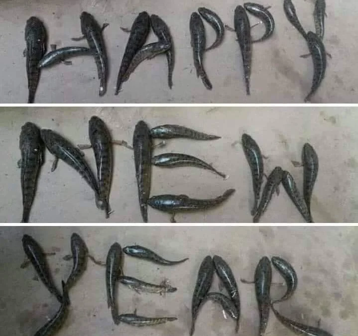 Tóm tắt truyện chữ Trọng sinh sau cốt truyện giống như biến kỳ quái  Novel Online