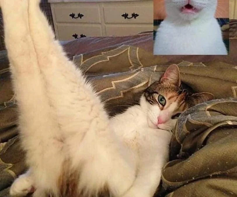 Thảo Luận truyện tranh Thôn Phệ Vĩnh Hằng Online