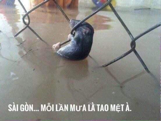 Ai Tóm tắt giúp truyện chữ Cuộc đời này không đổi  Novel Online