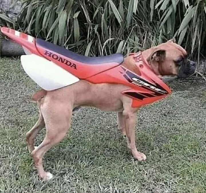 Thảo Luận truyện tranh Blue Box Online