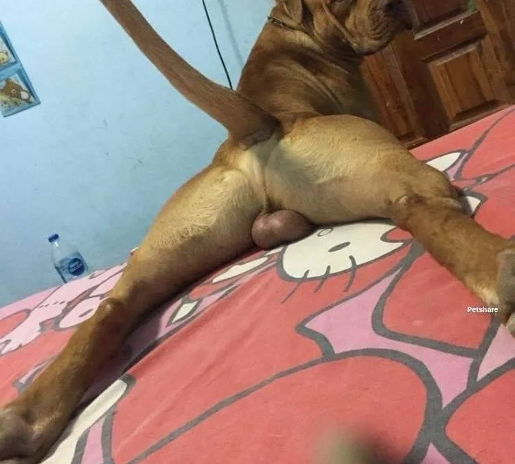 Review về  truyện chữ Hỗn độn lý luận  Novel Online