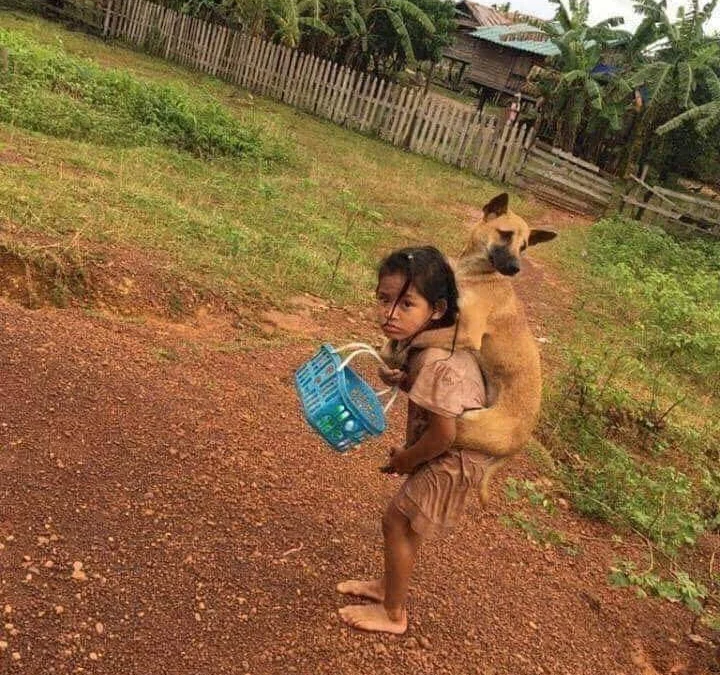 Review về  truyện chữ [ABO] Làm khó người khác  Novel Online