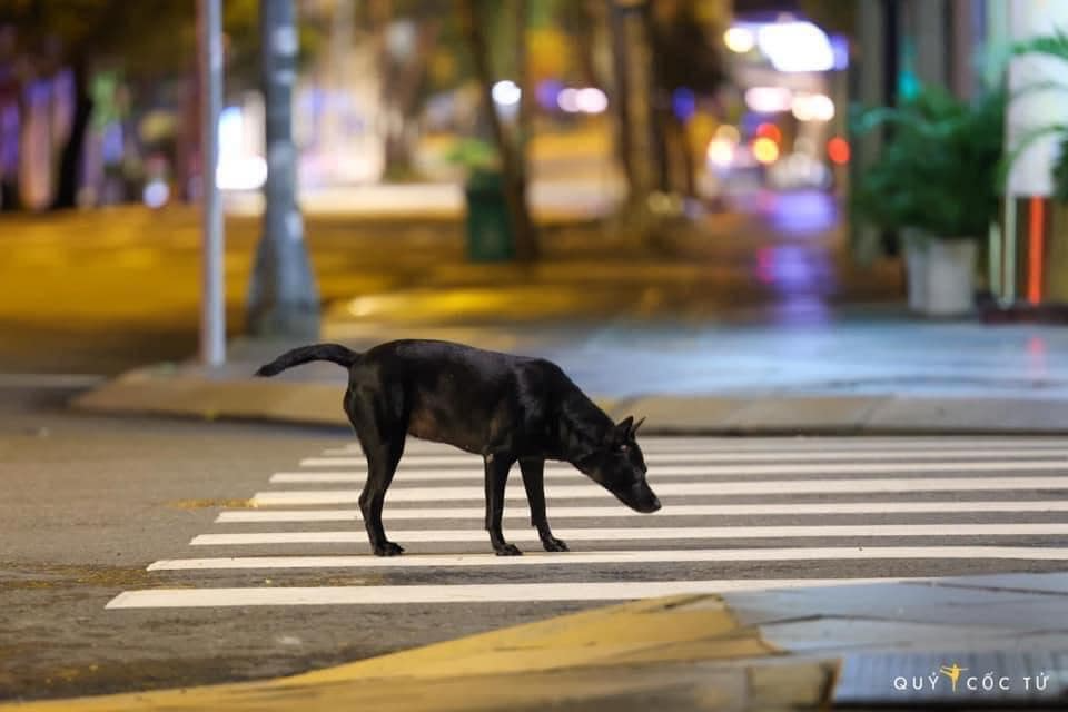 Review về  truyện chữ Dưỡng thành bạn gái từ cảnh trong mơ trò chơi bắt đầu  Novel Online