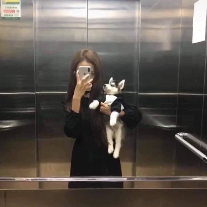 Ai Tóm tắt giúp truyện chữ Câu tới rồi một con bạn trai [ giới giải trí ]  Novel Online