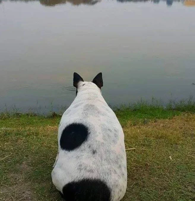 Thảo Luận truyện tranh Gal-sen Online