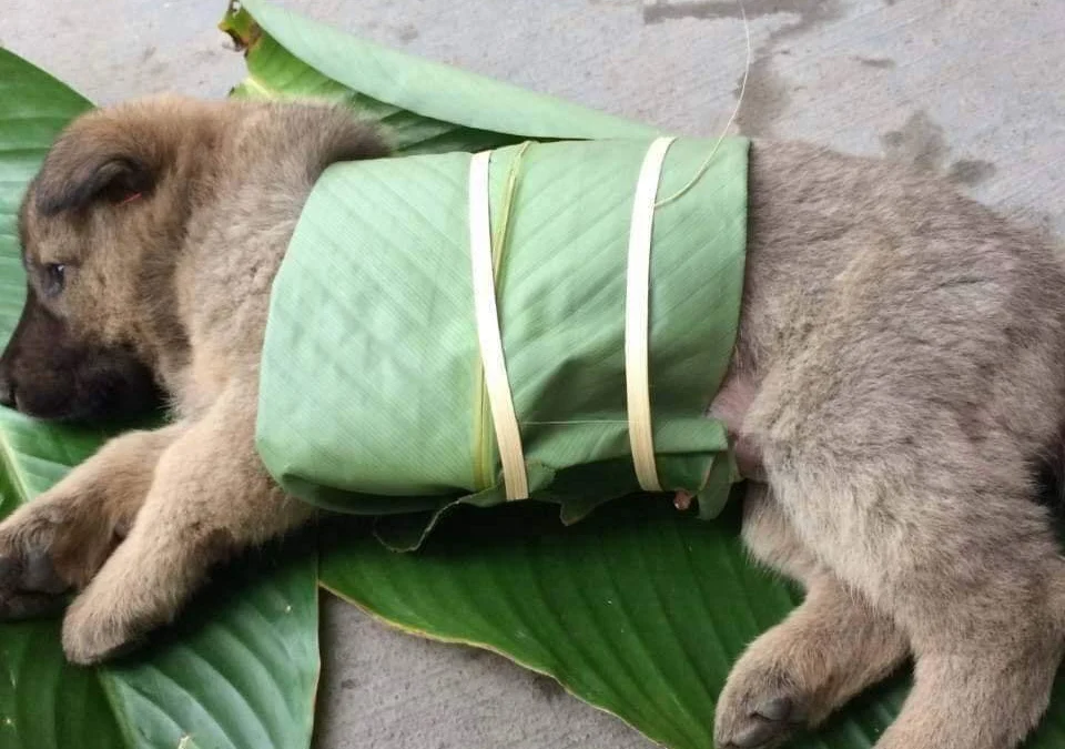 Gốc đánh giá truyện tranh Thanh Xuân Bị Lãng Quên Online