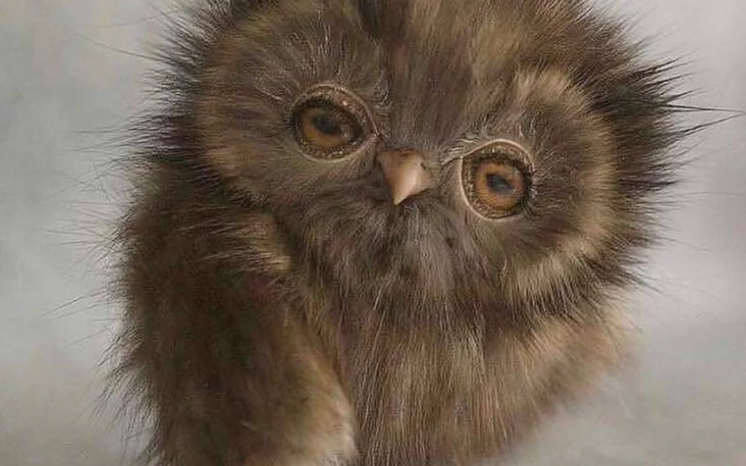 Review về  truyện chữ Giáo bá hắn thấy sắc nảy lòng tham  Novel Online