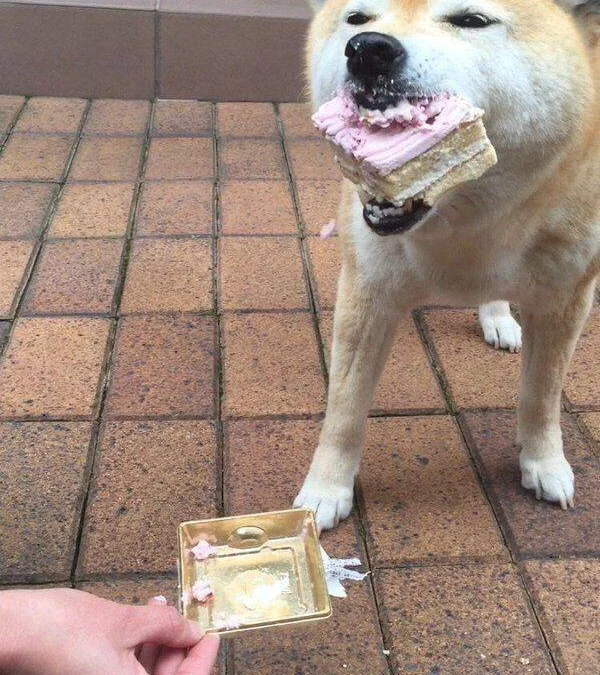 Gốc đánh giá truyện chữ Quá cùi bắp, tiếp theo cái [ thực tế ảo ]  Novel Online