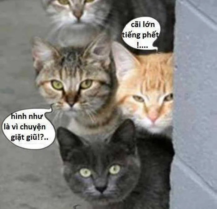 Gốc đánh giá truyện tranh Bạch Cốt Đại Thánh Online