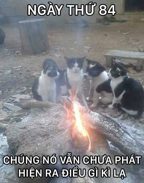 Gốc đánh giá truyện chữ Không gian tồn trăm tỷ vật tư, mẹ kế mang nhãi con đi chạy nạn  Novel Online