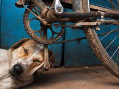 Review truyện tranh Nó Là Của Tôi Online