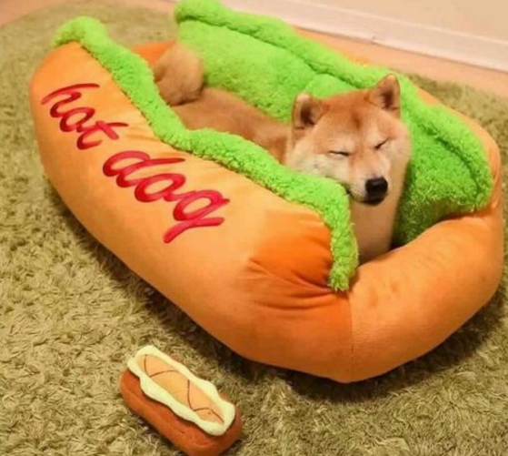 Thảo Luận truyện tranh Thanh Niên 29 Xuân Chuyển Sinh Tới Dị Giới Online