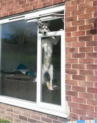 Thảo Luận truyện tranh Bắt Đầu Với Chí Tôn Đan Điền Online