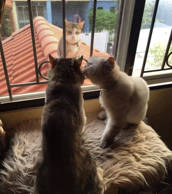 Ai Tóm tắt giúp truyện chữ Tư mênh mông cuồn cuộn  Novel Online