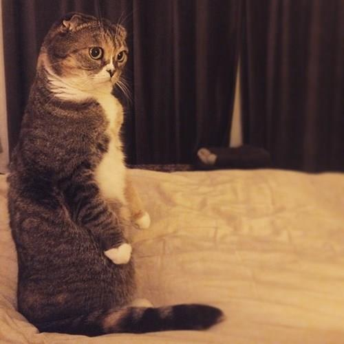 Review truyện tranh Ta Dùng Sách Giải Trí Thành Thánh Nhân Online