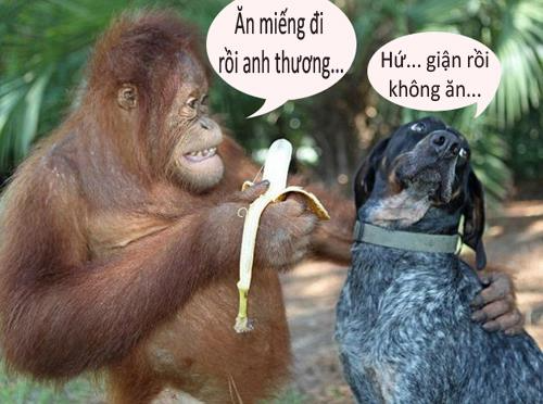 Review về  truyện chữ Ngự chủ hắn tự nguyện tăng ca  Novel Online