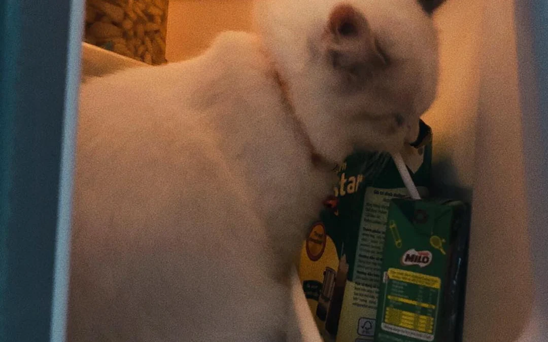 Gốc đánh giá truyện chữ Ta dựa thức ăn nhanh hệ thống phất nhanh ( xuyên thư )  Novel Online