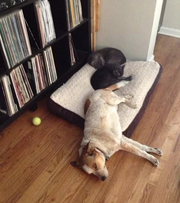 Thảo Luận truyện chữ Conan chi hứa ngươi tình thâm  Novel Online