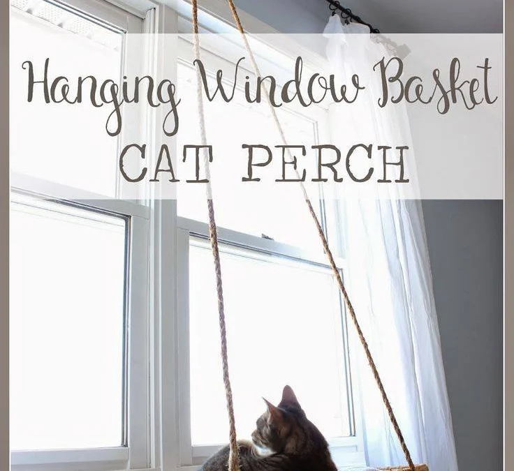 Thảo Luận truyện tranh Bố Tôi Là Đặc Vụ Online