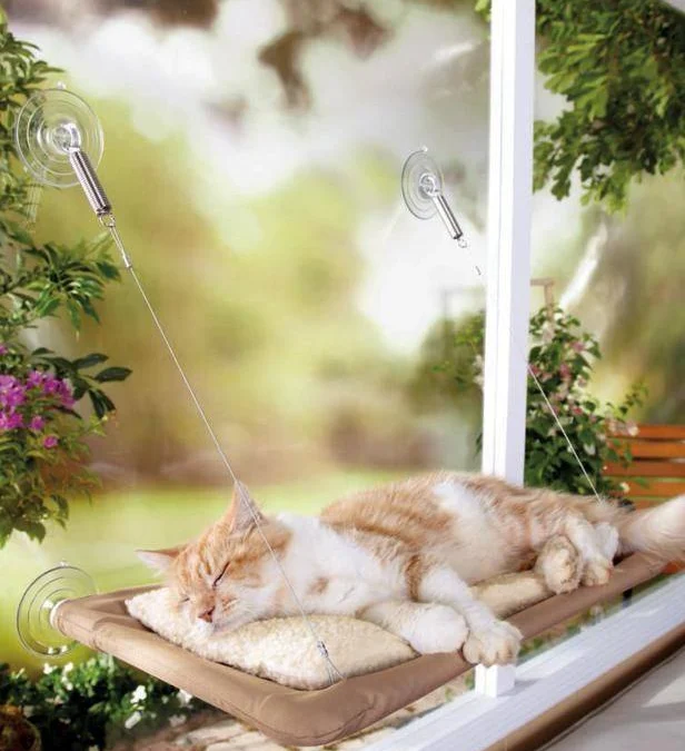 Ai Tóm tắt giúp truyện chữ Khai cục chạy nạn: Ta đóng gói nhân loại ấu tể so với ta còn cương!  Novel Online