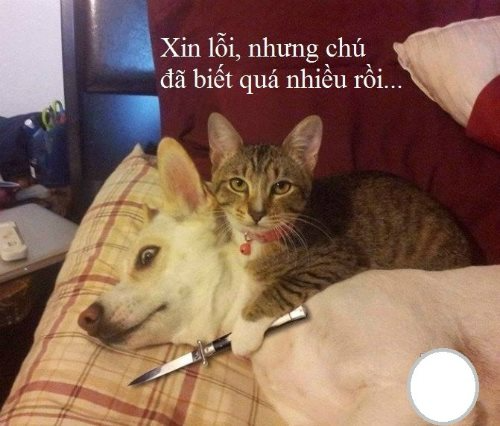 Review về  truyện chữ Lần đầu tiên gặp mặt liền đem lão công cấp tấu  Novel Online