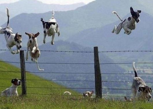 Gốc đánh giá truyện tranh Những Nhân Vật Mạnh Nhất Thế Giới Ám Ảnh Tôi Online