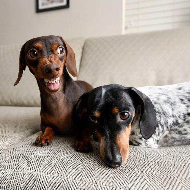 Thảo Luận truyện tranh Hametsu no Kanojo Online