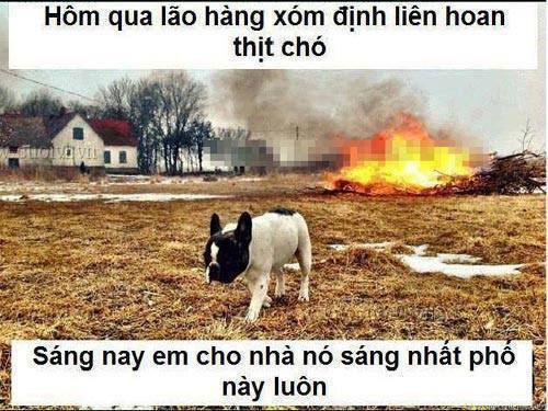 Gốc đánh giá truyện tranh Huyết Cơ Và Kỵ Sĩ Online