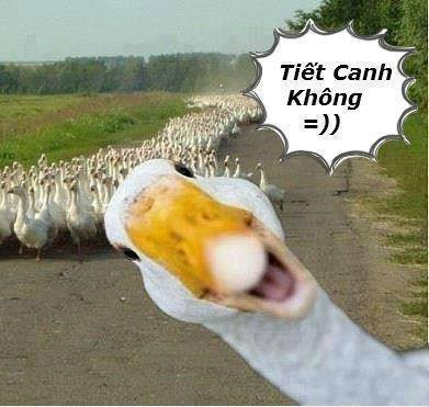 Thảo Luận truyện chữ Cung tường liễu  Novel Online