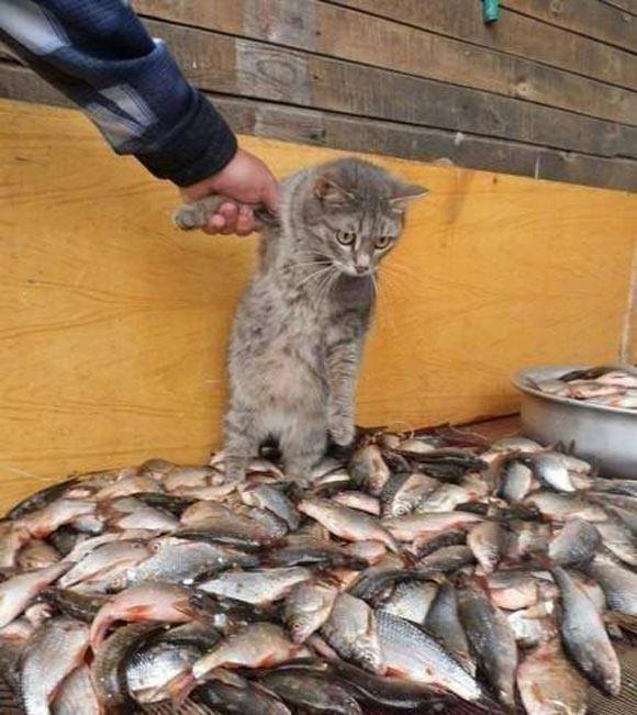 Ai Tóm tắt giúp truyện chữ Dị thế giới ác đồ sẽ không đều thích ta đi Novel Online