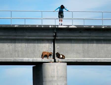 Review truyện tranh Dĩ Hạ Phạm Thượng Online