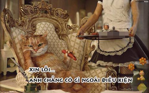 Tóm tắt truyện chữ Trọng sinh chi ngươi quản cái này kêu người thành thật?  Novel Online