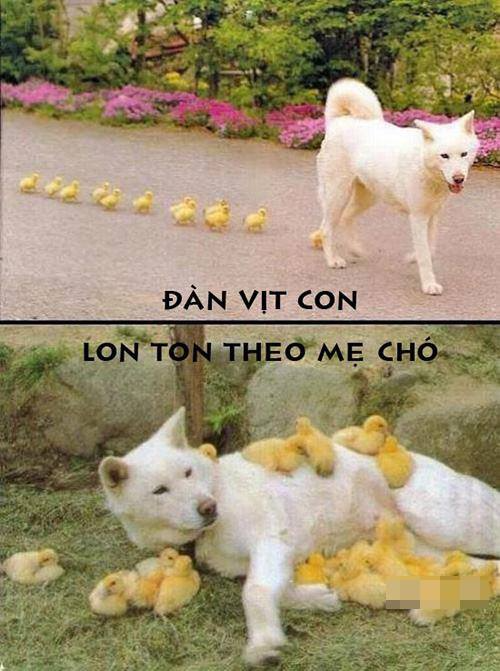 Gốc đánh giá truyện chữ Ánh trăng cũng sẽ sáng lên  Novel Online