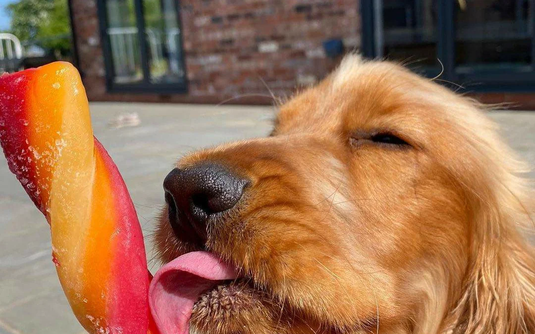 Ai Tóm tắt giúp truyện chữ 80 đoàn sủng tiểu phúc tinh  Novel Online