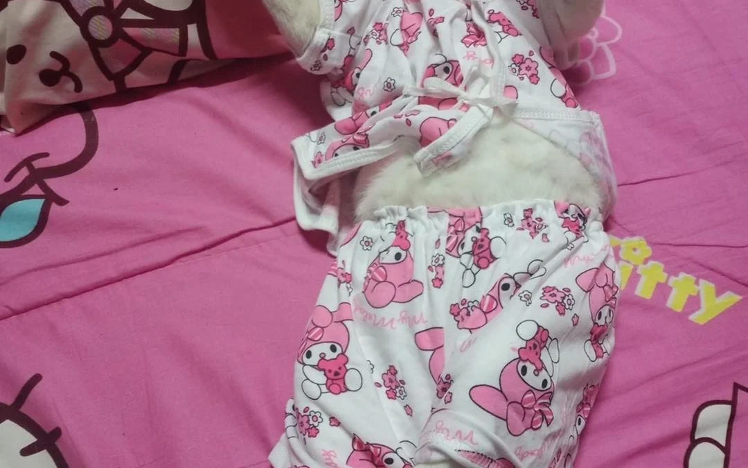 Thảo Luận truyện tranh Bà Xã Nhà Tôi Đến Từ Ngàn Năm Trước Online